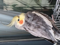 -small-2