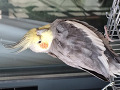 -small-1