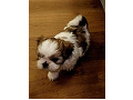 -small-4