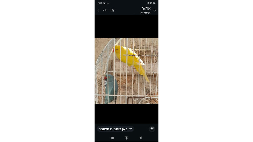 -big-1