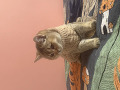 -small-3