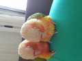 4-small-3