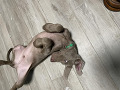251225-3-small-1