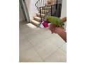 -small-0