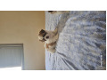 -small-1