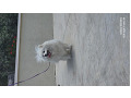 -small-1