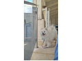-small-3