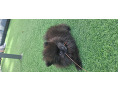 -small-5