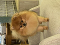-small-1