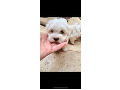 -small-0