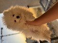 -small-0