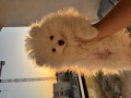 -small-1