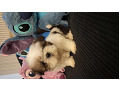 -small-7