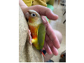 -small-0