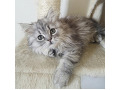-small-5