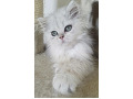 -small-3