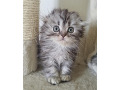 -small-3