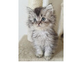 -small-2