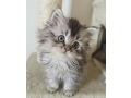 -small-0