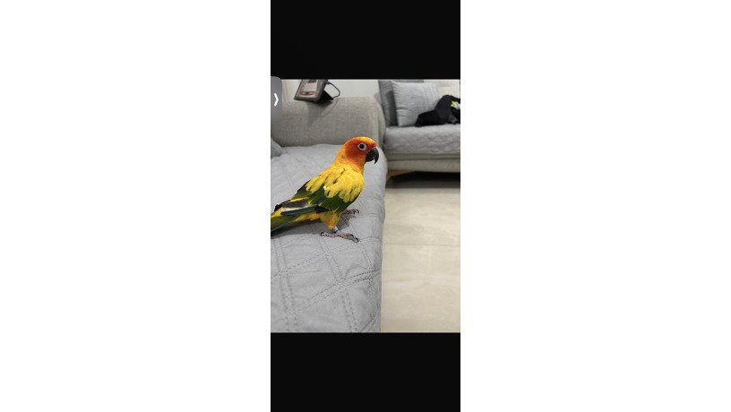 -big-0