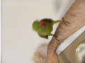 -small-1