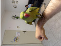 -small-3
