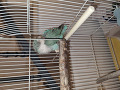 -small-2