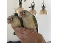 -small-3
