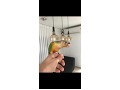 -small-2