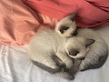 5-27-small-3