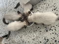 5-27-small-1