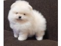 -small-0