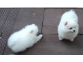 -small-0