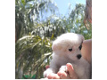 -small-0