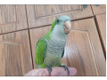 -small-1