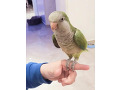 -small-0