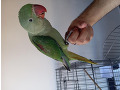-small-5