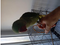 -small-6