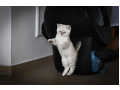 -small-2