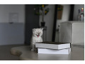 -small-1