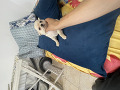 -small-1