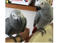 -small-2