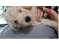 -small-1