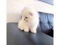 -small-1