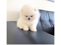 -small-0