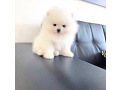 -small-2