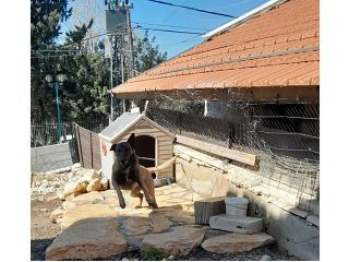 טובה עם ילדים