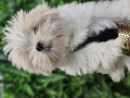 -small-3