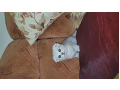 -small-2