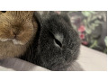 -small-6